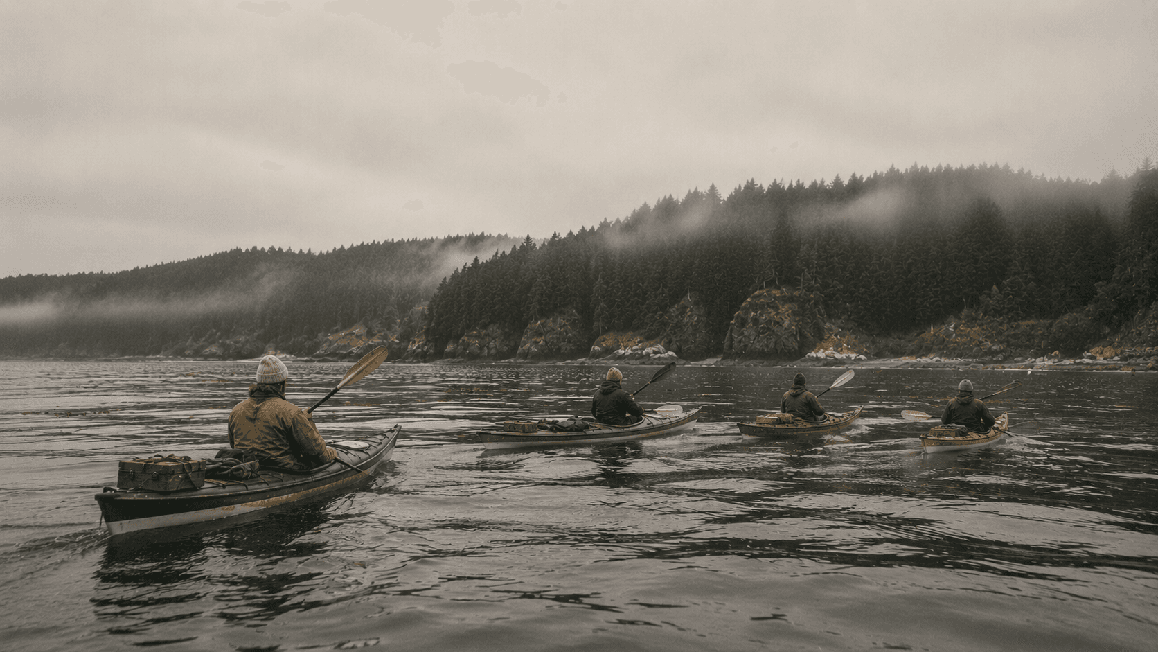 A group of kayakers paddling along a foggy coastline.